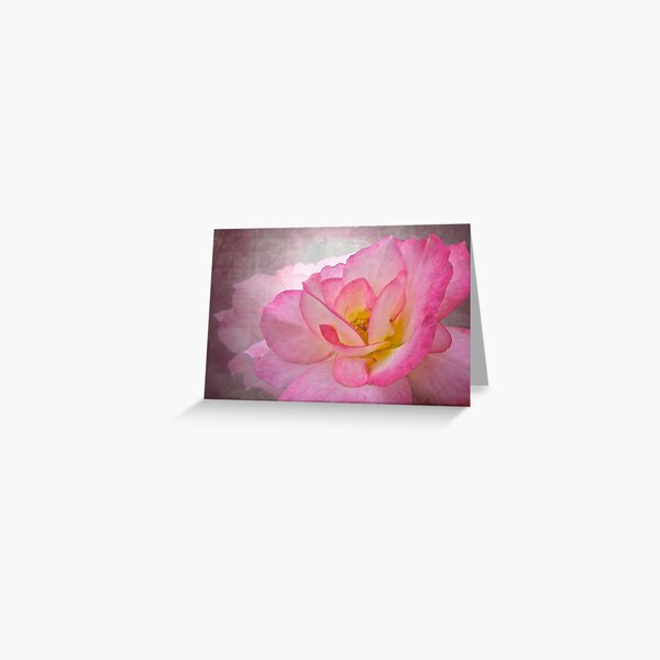 Pink Victorian Rose Greeting Card