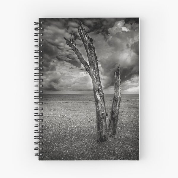 Item preview, Desolation  designed and sold by John  Kapusta.