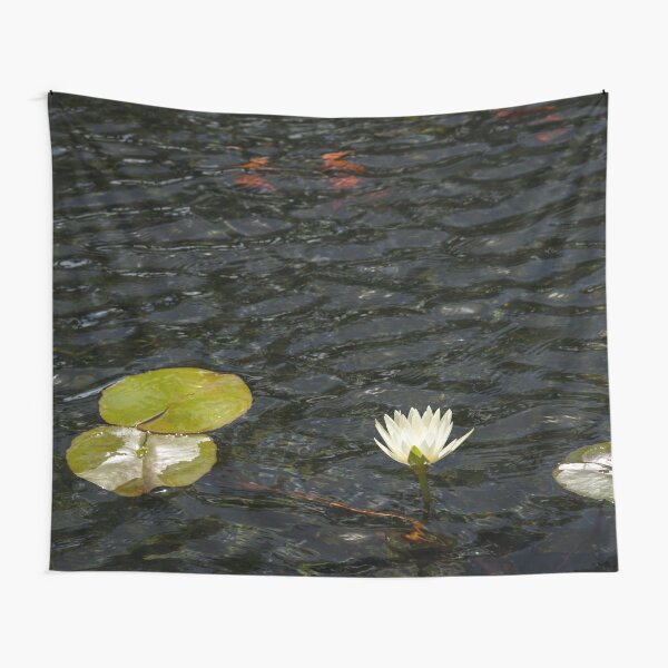 Low Key Enigma - White Water Lily Emerging from Silky Depths Tapestry for  Sale by Georgia Mizuleva
