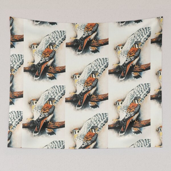 Item preview, Kestrel of America designed and sold by BarbBarcikKeith.
