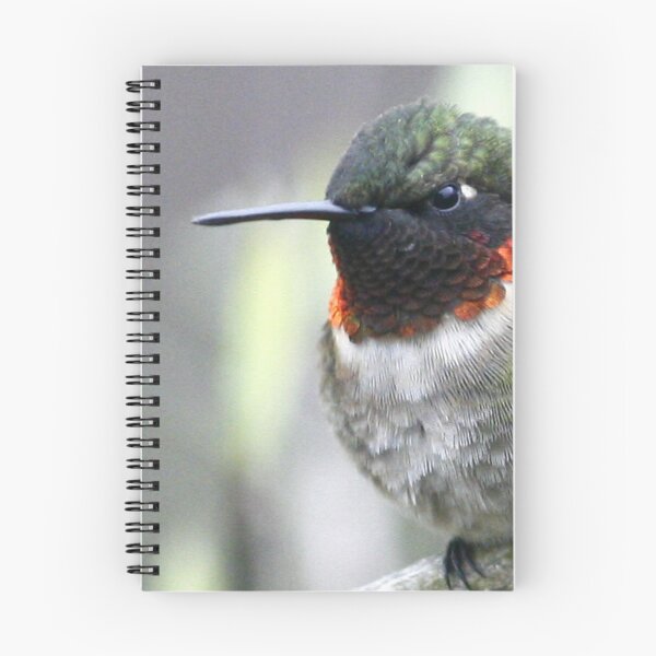 Item preview, Ruby-throated Hummingbird designed and sold by Enola Gay Wagner.