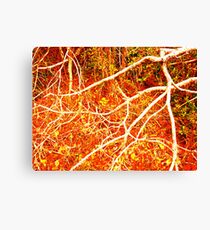 In the Heart of the Mind Canvas Print