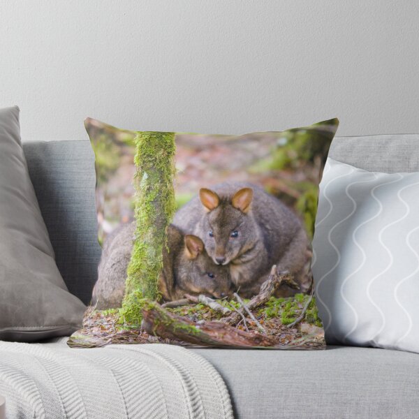 Item preview, Tasmanian Pademelon and Joey designed and sold by inthewild.