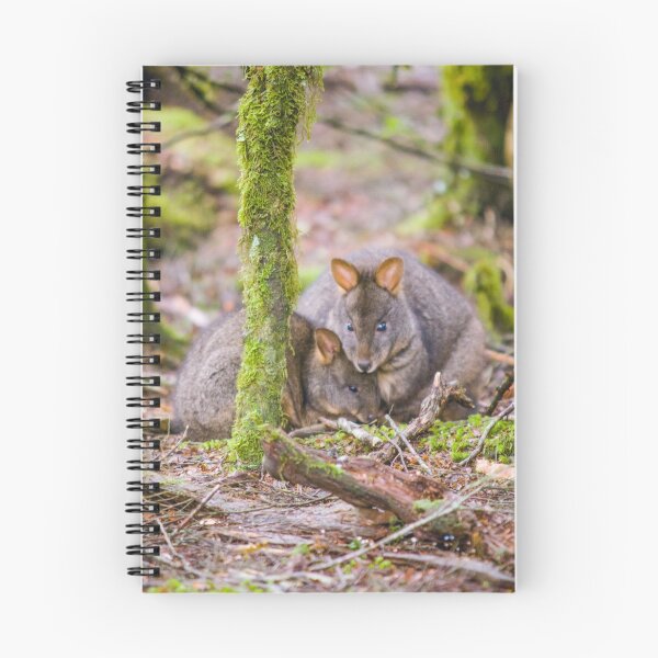 Item preview, Tasmanian Pademelon and Joey designed and sold by inthewild.