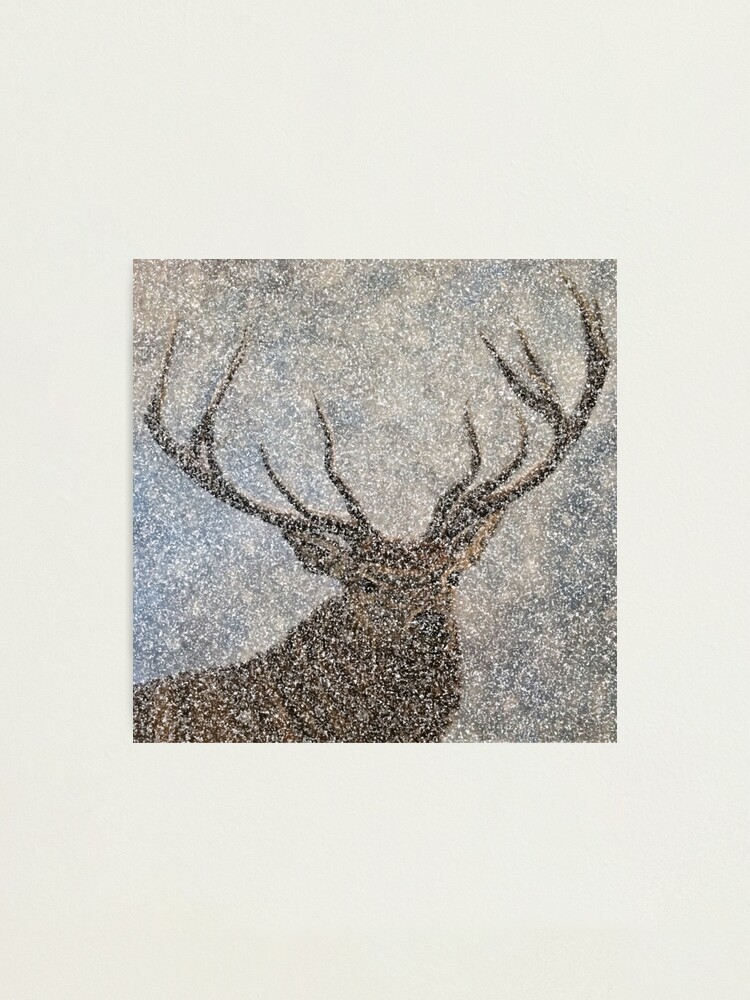 Alternate view of Not Afraid of the Snow - Stag in Heavy Snow - Wall Art Photographic Print