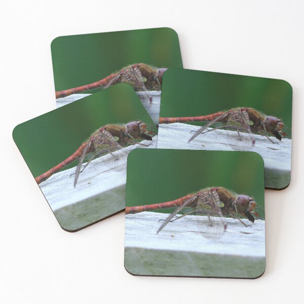 Item preview, Lunch Time  2 designed and sold by Sharon Perrett.