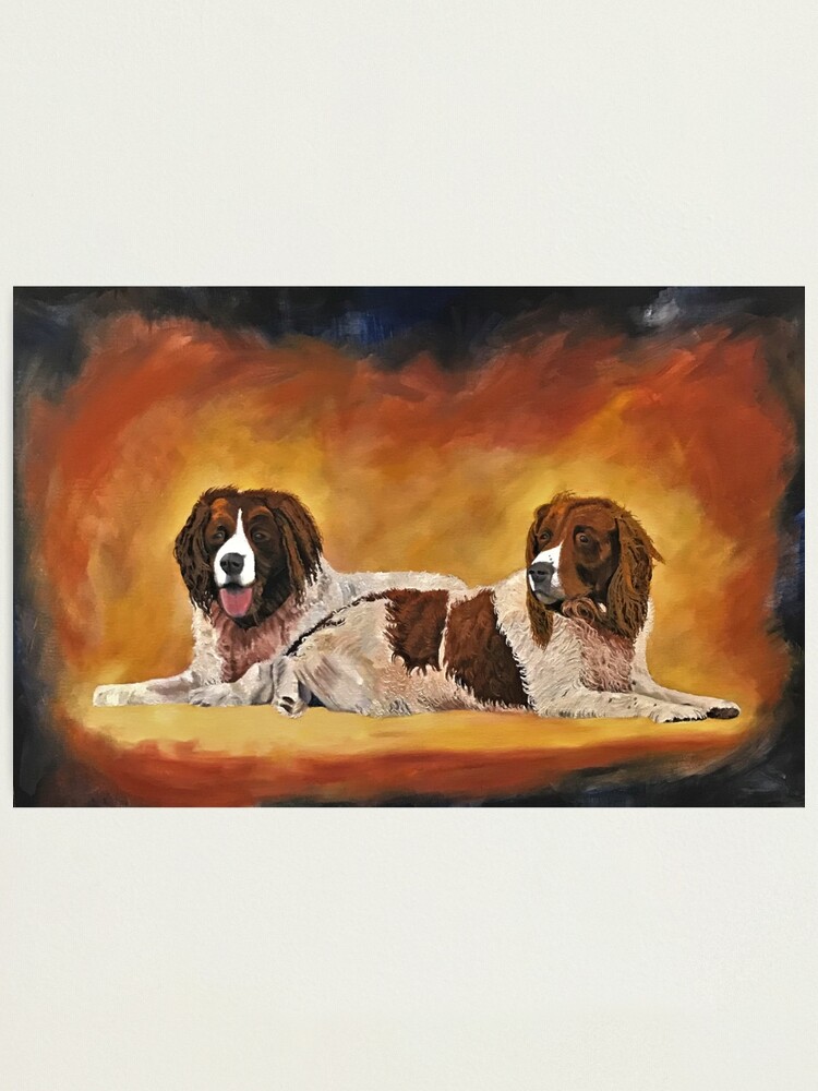 Alternate view of Spaniel Friends - Wall Art Photographic Print