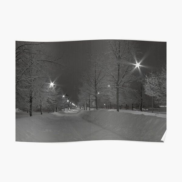 Winter morning Poster