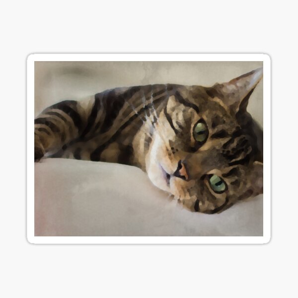 Beautiful Tabby Art Sticker