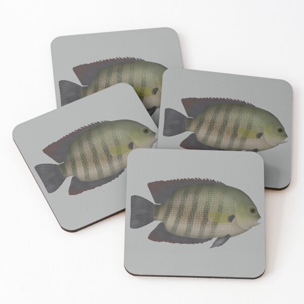 Item preview, Pearl Spot designed and sold by fishfolkart.