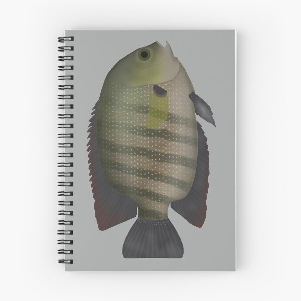 Item preview, Pearl Spot designed and sold by fishfolkart.