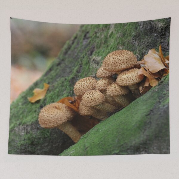Item preview, Shaggy scalycap designed and sold by cuprum.