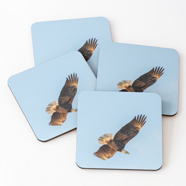 Artikelvorschau, Eagle Soaring in the Suns Glow entworfen und verkauft von Loveourbug.