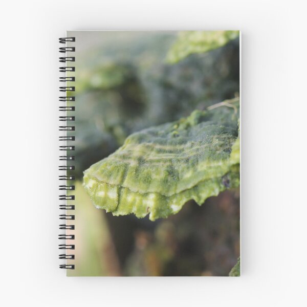 Item preview, Trametes in decay designed and sold by cuprum.