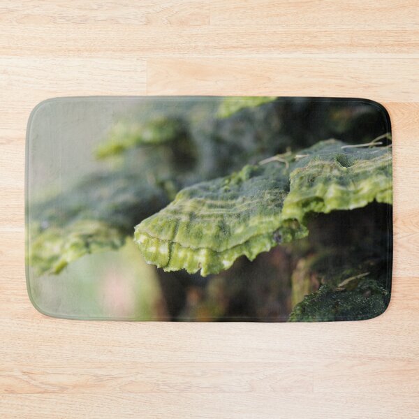 Item preview, Trametes in decay designed and sold by cuprum.
