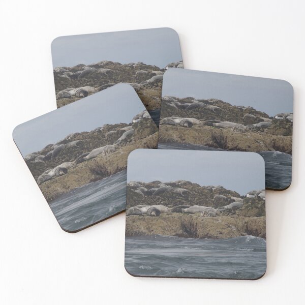 Item preview, Seals On Farne Islands, Northumberland designed and sold by lezvee.