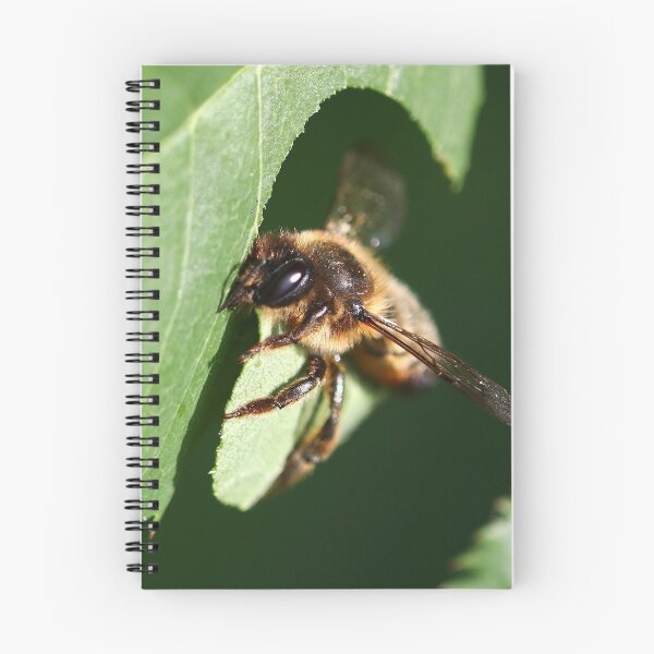 Item preview, Patchwork leaf cutter bee designed and sold by GreyFeatherPhot.