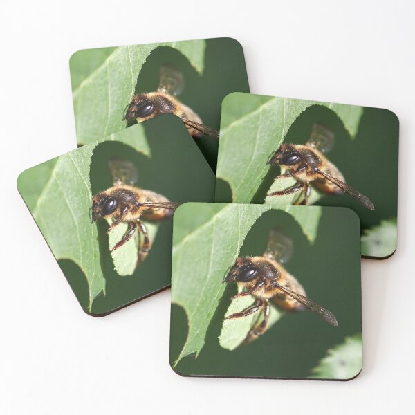 Item preview, Patchwork leaf cutter bee designed and sold by GreyFeatherPhot.