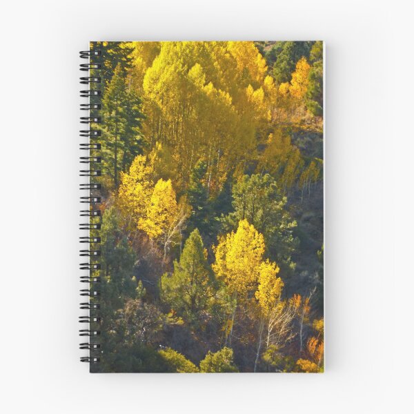 Item preview, CALIFORNIA'S GOLDEN ASPENS designed and sold by Elaine Bawden.