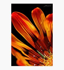 Fire and Light Photographic Print