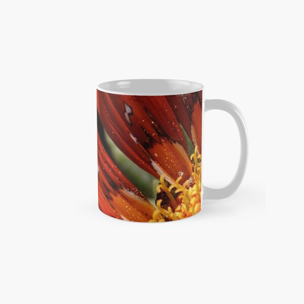 Fire and Light Classic Mug