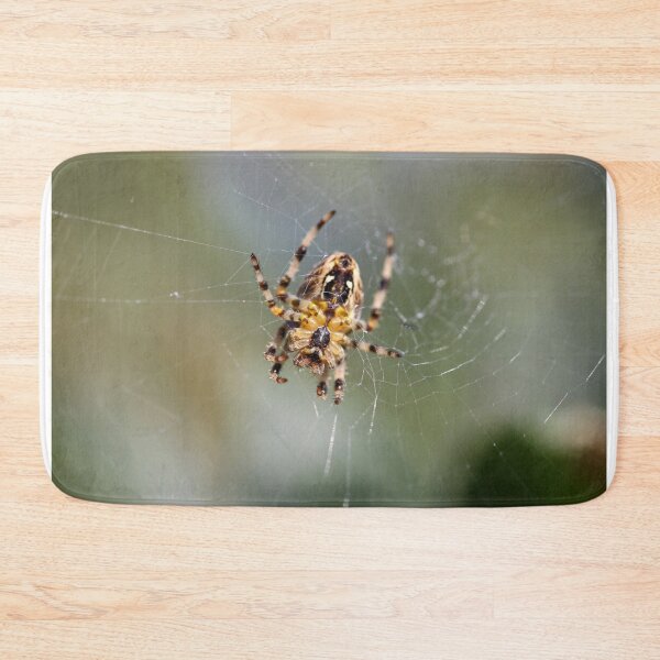 Item preview, Garden spider from beneath designed and sold by GreyFeatherPhot.
