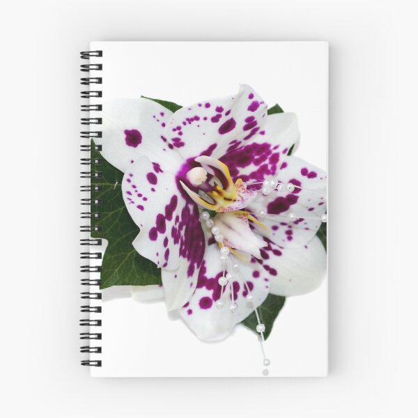 Item preview, White Orchid designed and sold by robertcassphoto.