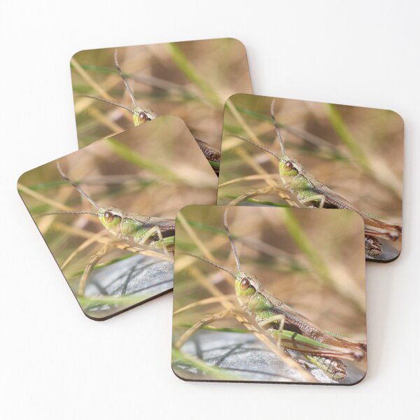 Item preview, Meadow grasshopper designed and sold by GreyFeatherPhot.