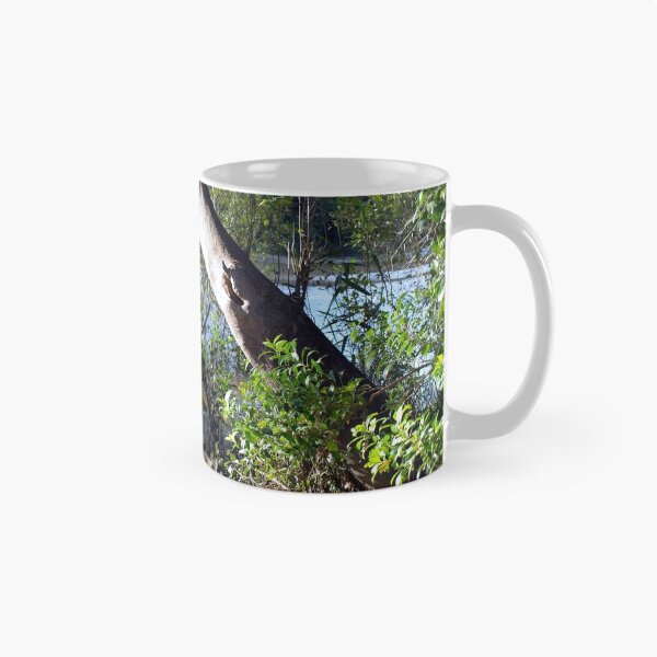 Item preview, Mangroves designed and sold by W E NIXON  PHOTOGRAPHY.