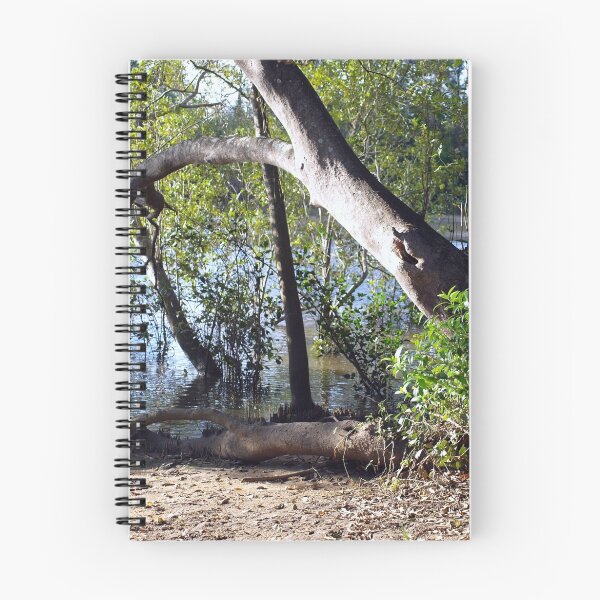Item preview, Mangroves designed and sold by W E NIXON  PHOTOGRAPHY.