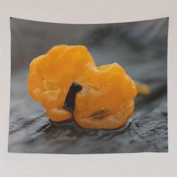 Item preview, Tiny orange blob designed and sold by cuprum.