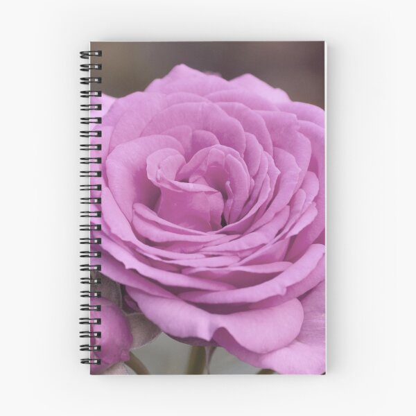 Item preview, Light Lilac Pink Rose #1 #floral #art  designed and sold by Anita's & Bella's Art.