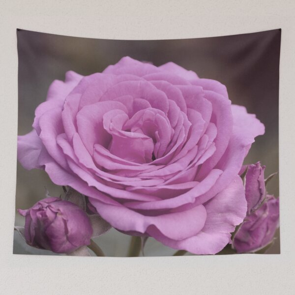 Item preview, Light Lilac Pink Rose #1 #floral #art  designed and sold by Anita's & Bella's Art.