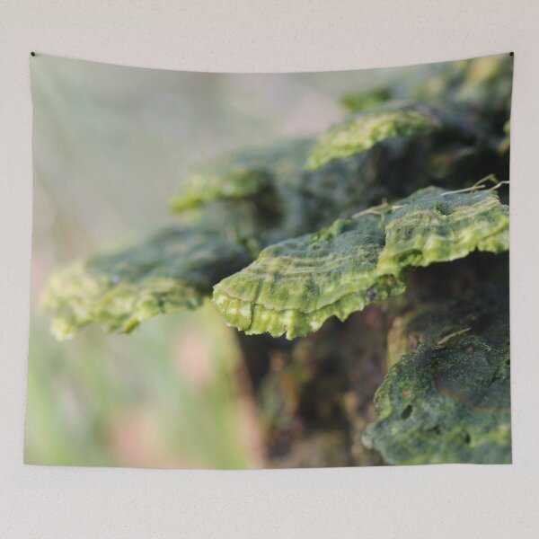 Item preview, Trametes in decay designed and sold by cuprum.