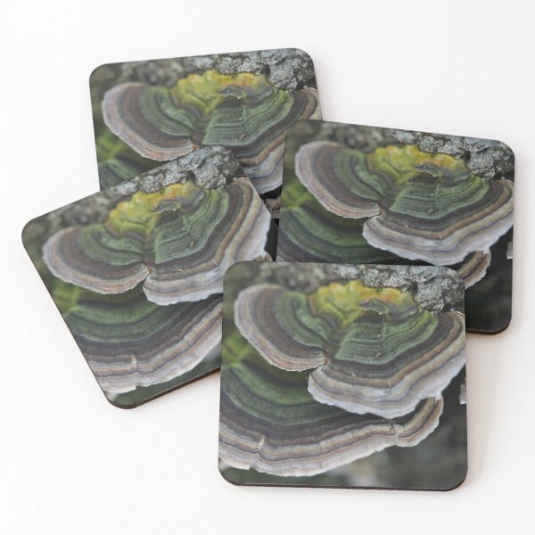 Item preview, Bracket fungus designed and sold by cuprum.