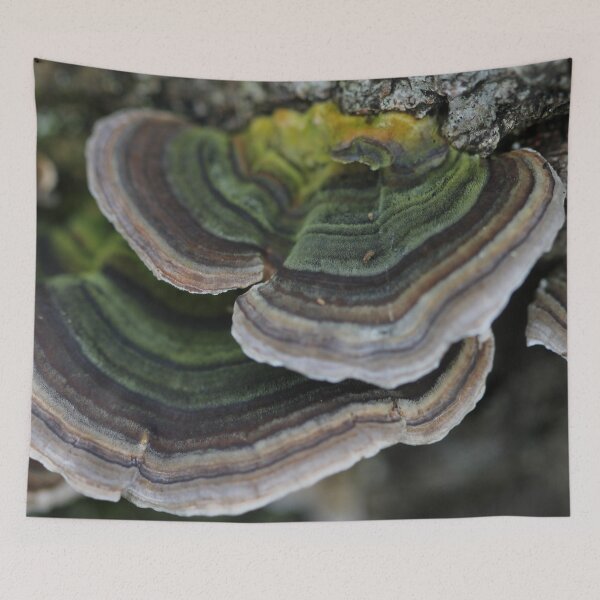 Item preview, Bracket fungus designed and sold by cuprum.