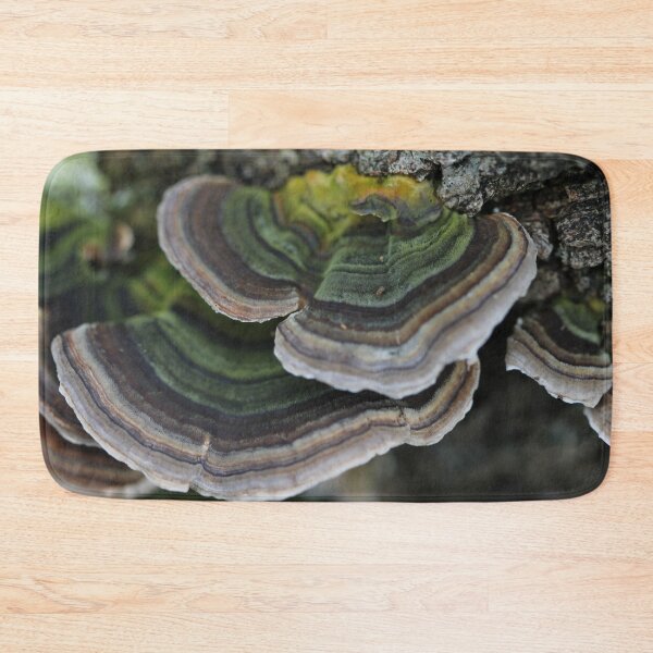 Item preview, Bracket fungus designed and sold by cuprum.