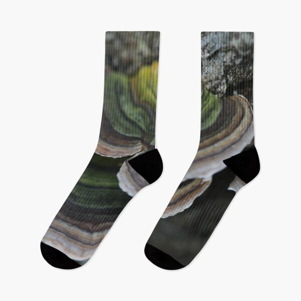 Item preview, Bracket fungus designed and sold by cuprum.