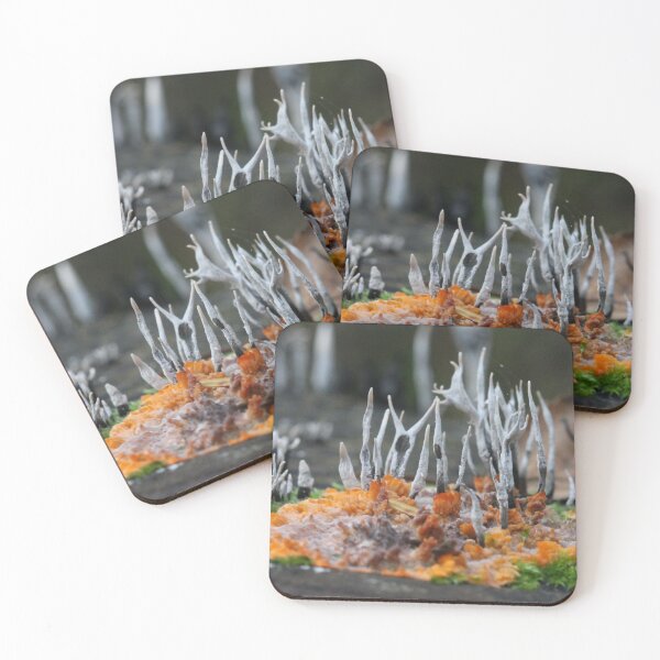 Item preview, Pizza al funghi designed and sold by cuprum.