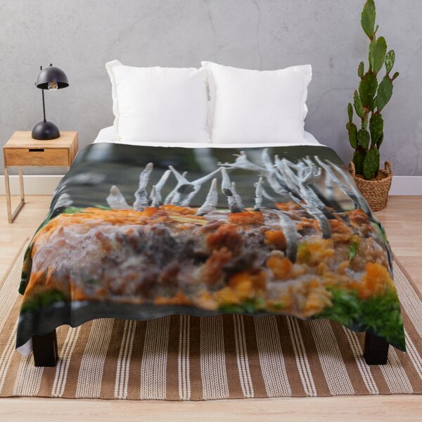 Item preview, Pizza al funghi designed and sold by cuprum.