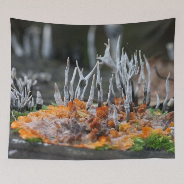 Item preview, Pizza al funghi designed and sold by cuprum.