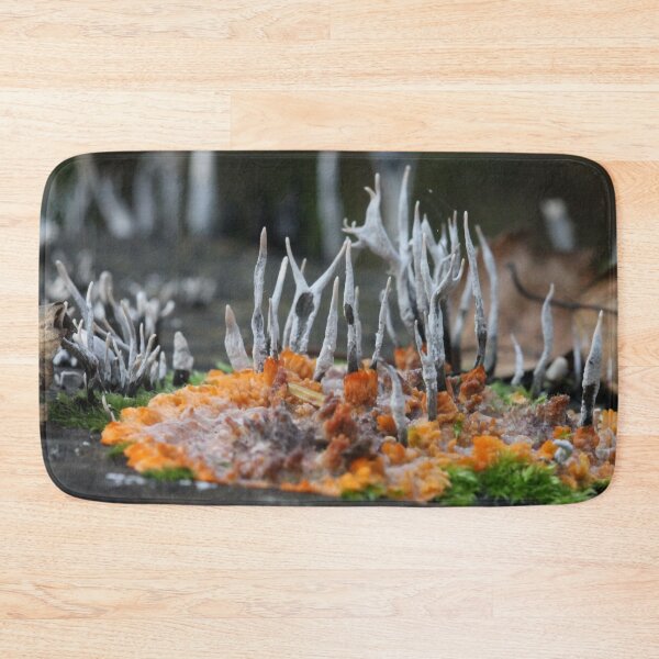 Item preview, Pizza al funghi designed and sold by cuprum.