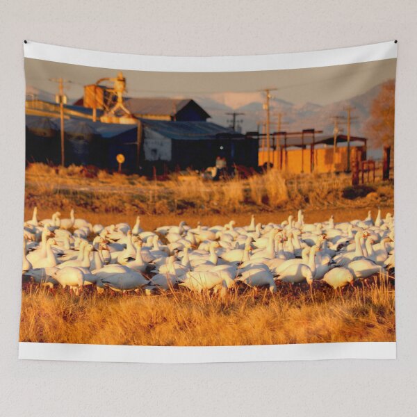 Item preview,  white snow goose, snow geese  designed and sold by Stephanie  Skeem.