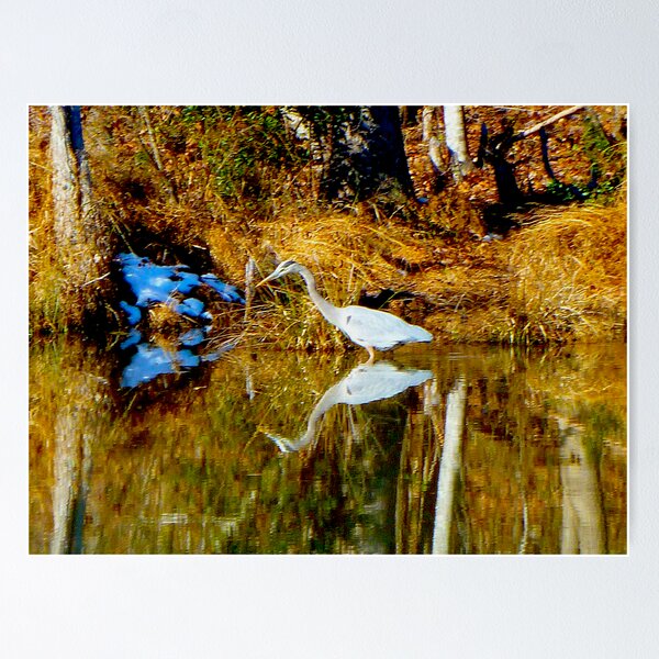 Item preview, PeaceBird Last Image 2010 designed and sold by Jonathan Green.