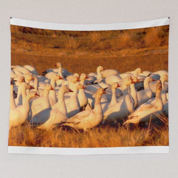 Item preview, White snow geese designed and sold by Stephanie  Skeem.