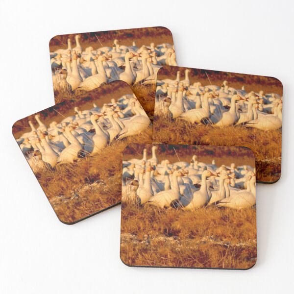 Item preview, Flock of snow geese in a field designed and sold by Stephanie  Skeem.