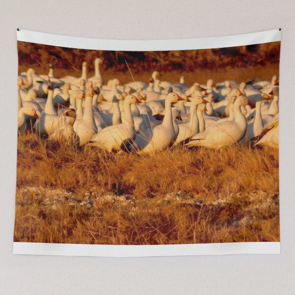 Item preview, Flock of snow geese in a field designed and sold by Stephanie  Skeem.