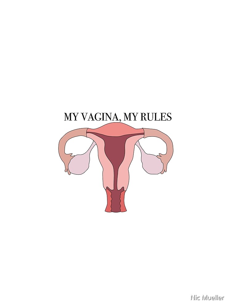 My Vagina My Rules T Shirt By Nixxlx Redbubble 5190