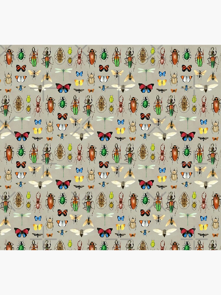 Thumbnail 5 of 5, Socks, The Usual Suspects - Insects on grey - watercolour bugs pattern by Cecca Designs designed and sold by Cecca-Designs.