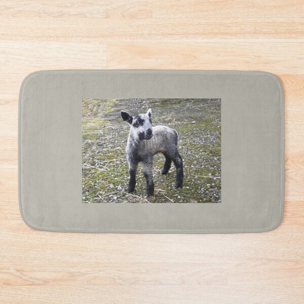 Item preview, Lamb designed and sold by RONALD MACKENZIE.